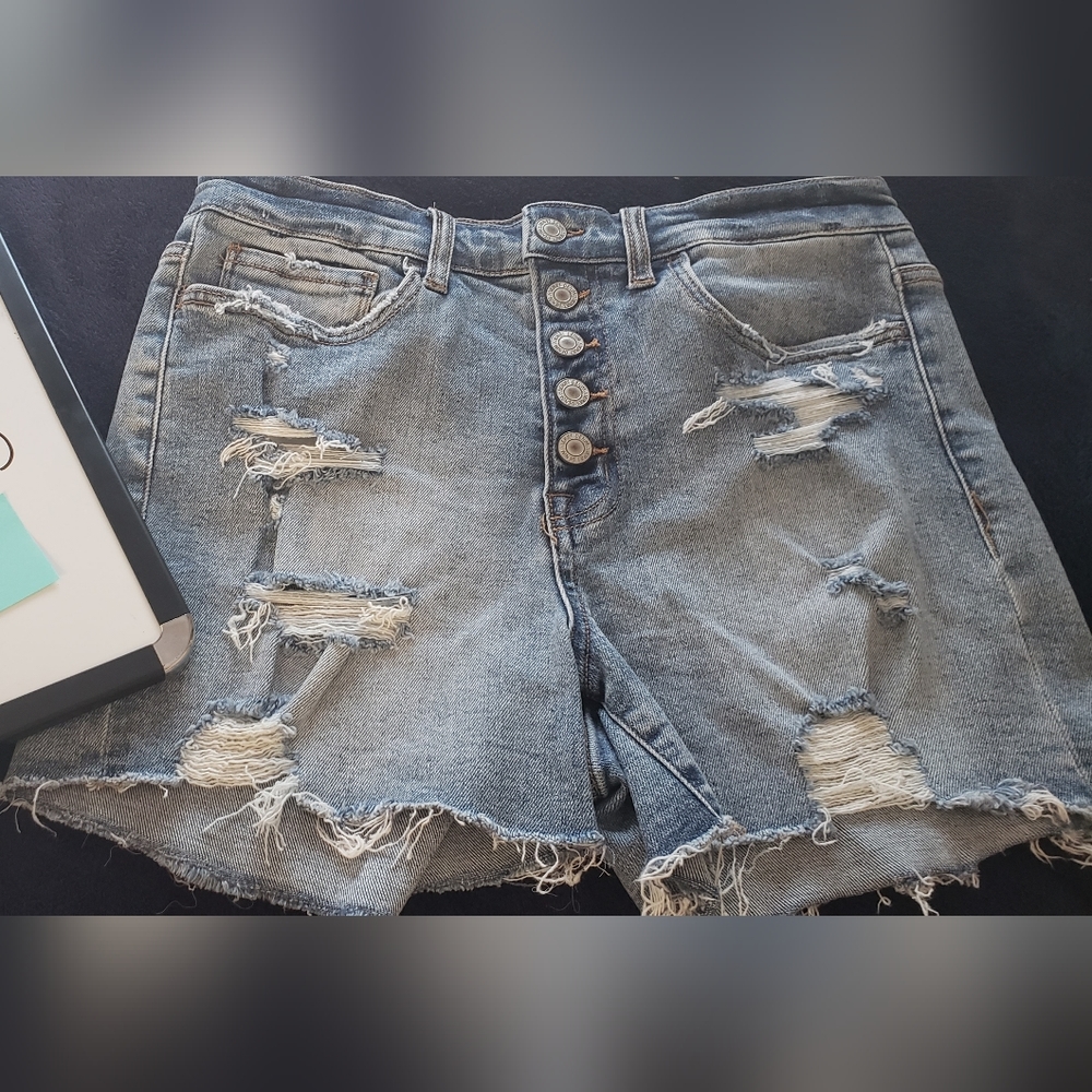Vervet brand woman's shorts from The Buckle